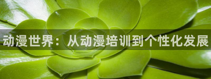 动漫屋官方网