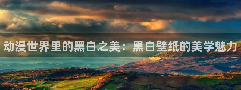 动漫屋子：动漫世界里的黑白之美：黑白壁纸的美学魅力